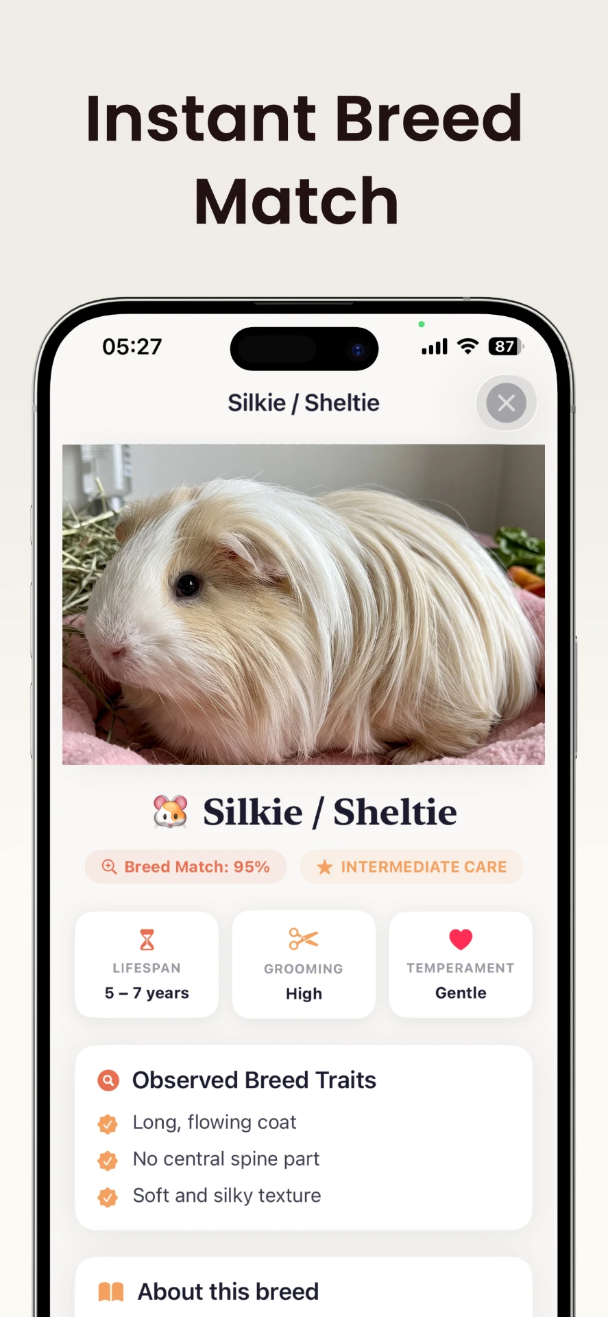 Wheeky Identifier showing a guinea pig breed match